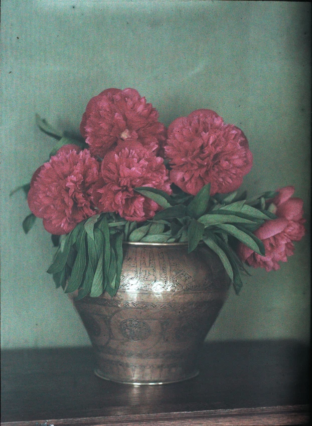 Anonyme - Vase en cuivre et pivoines