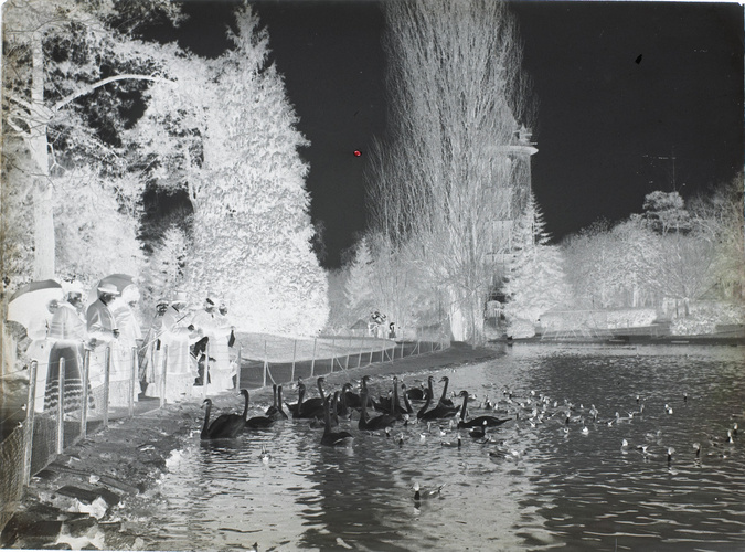 Henri Lemoine - Plan d'eau avec cygnes et canards, jardin d'acclimatation
