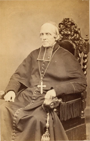 Cardinal de Bonnechose - Pierre-Louis Pierson