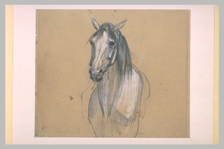 Eugène Fromentin - Tête de cheval