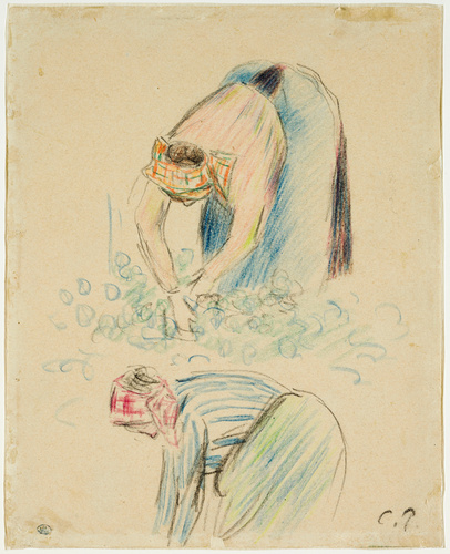 Printemps. Pruniers en fleurs - Camille Pissarro | Musée d'Orsay