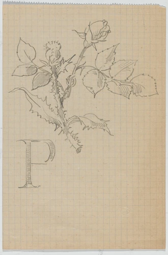 Claudius Popelin - Etude de chardon et de rose et lettre P