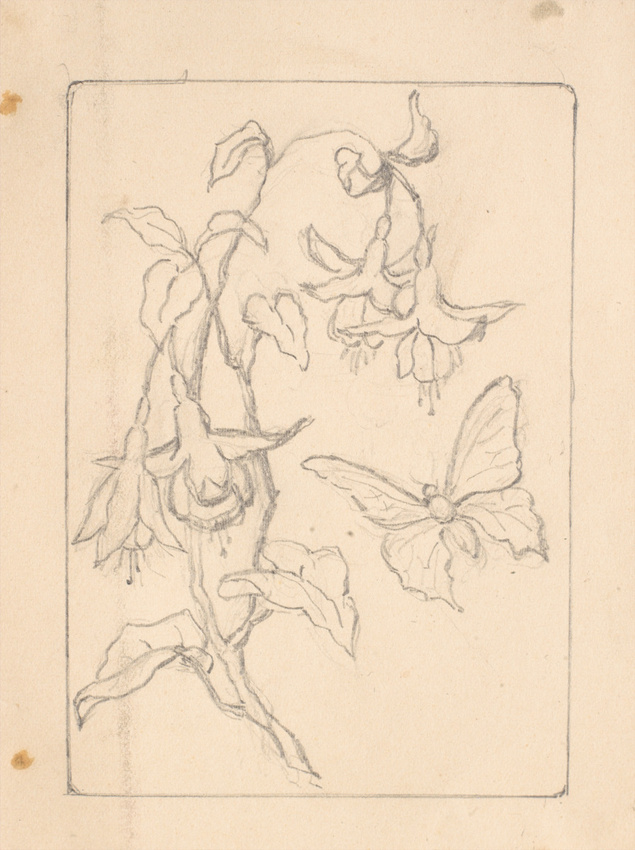 Achille Bonnuit - Dessin de fleurs