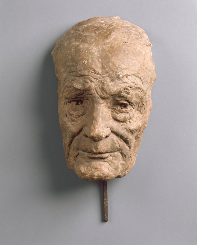 François Sicard - Jean-Henri Fabre, entomologiste