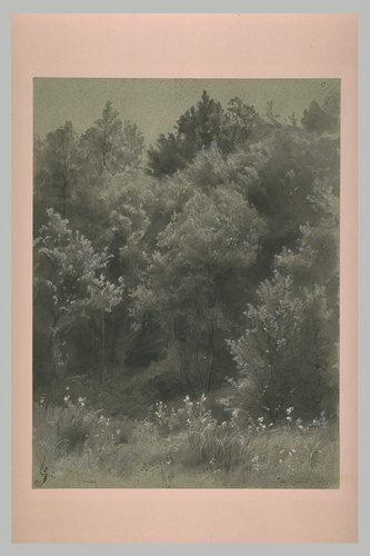 Un bois des environs de Cernay