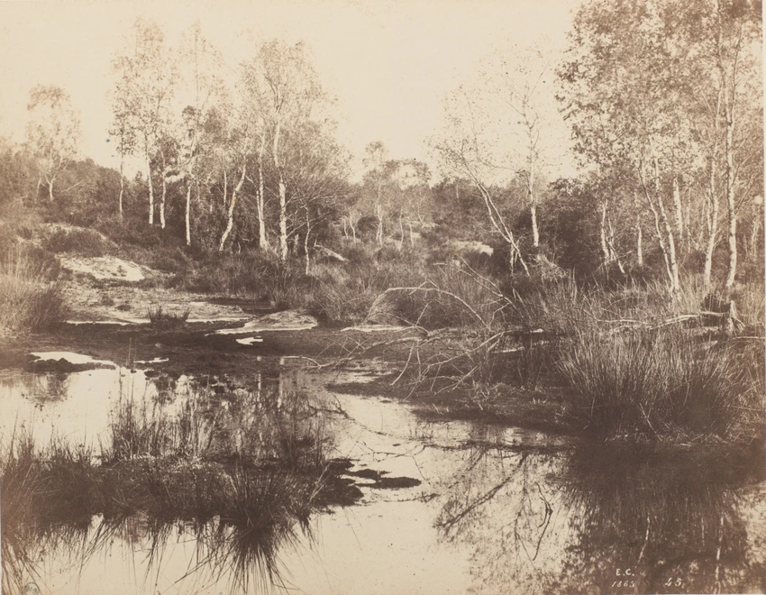 Etang de Franchard, forêt de Fontainebleau - Eugène Cuvelier