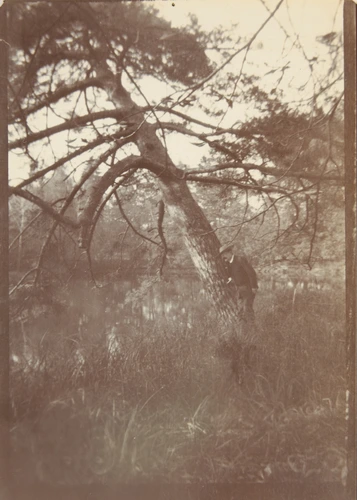Parc de la Benneterie - René Lalique