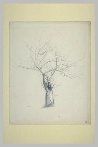 Odilon Redon - L'arbre nu