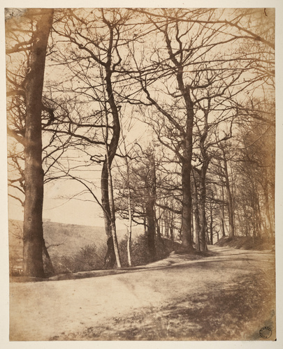 Victor Regnault - Route bordée d'arbres
