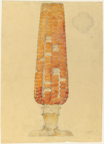 Emile Gallé - Modèle de vase en cristal en forme d'épi de mais et coupe transver...