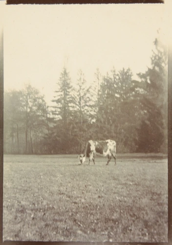 René Lalique - Parc de la Benneterie, Janette