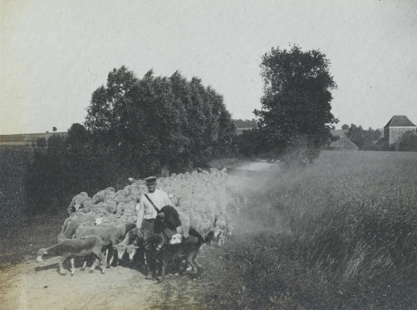 Charles Augustin Lhermitte - France, berger menant un troupeau de moutons sur un...