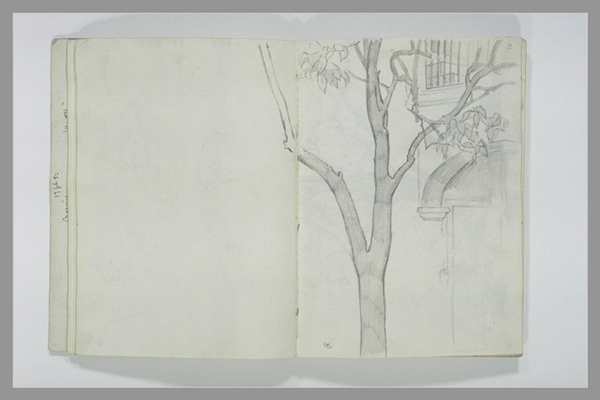 Alfred Dehodencq - Branche d'arbre