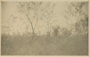 Joseph Keiley - Spring