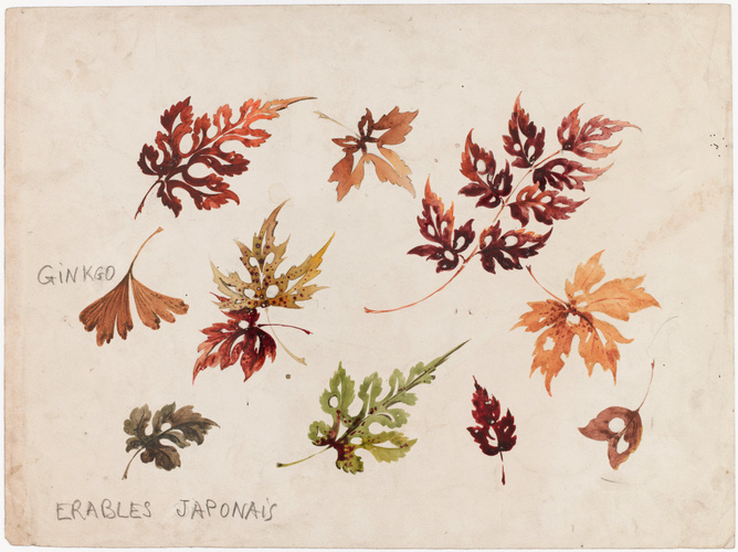Emile Gallé - Ginkgo et érables japonais