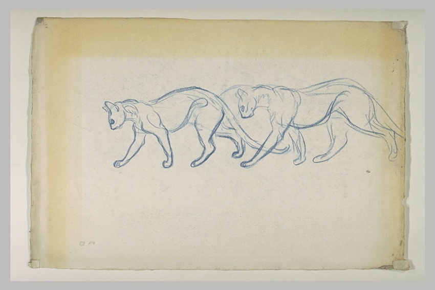 Théophile Alexandre Steinlen - Deux études de chats marchant l'un derrière l'aut...