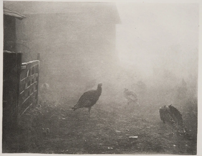 Peter Henry Emerson - A Corner of The Farm Yard