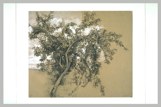 Pommier