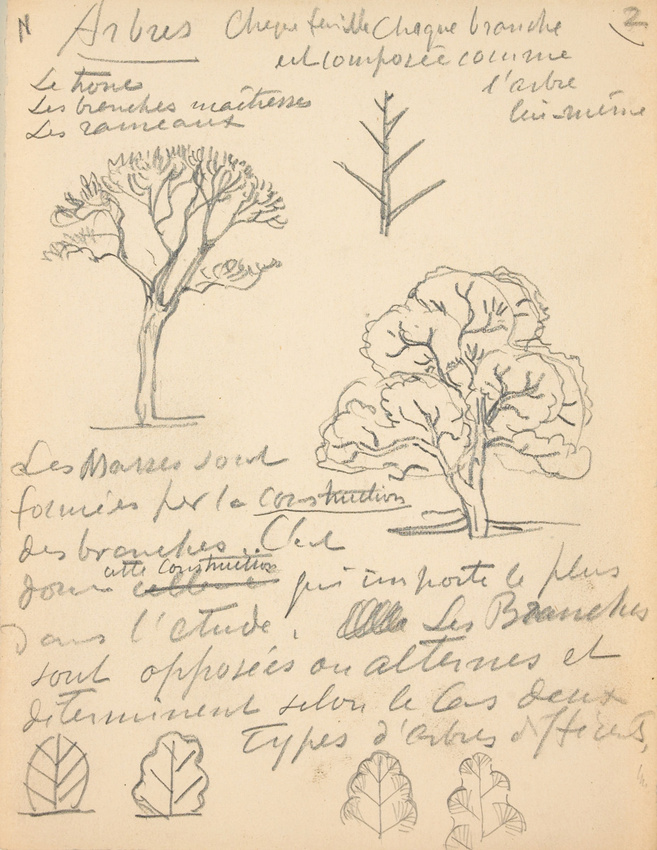 Eugène Grasset - Arbre et feuille