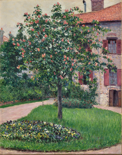Gustave Caillebotte - Arbre en fleurs