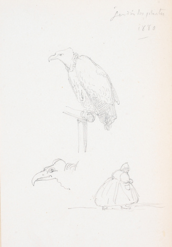 Victor Ruprich-Robert - Jardin des plantes