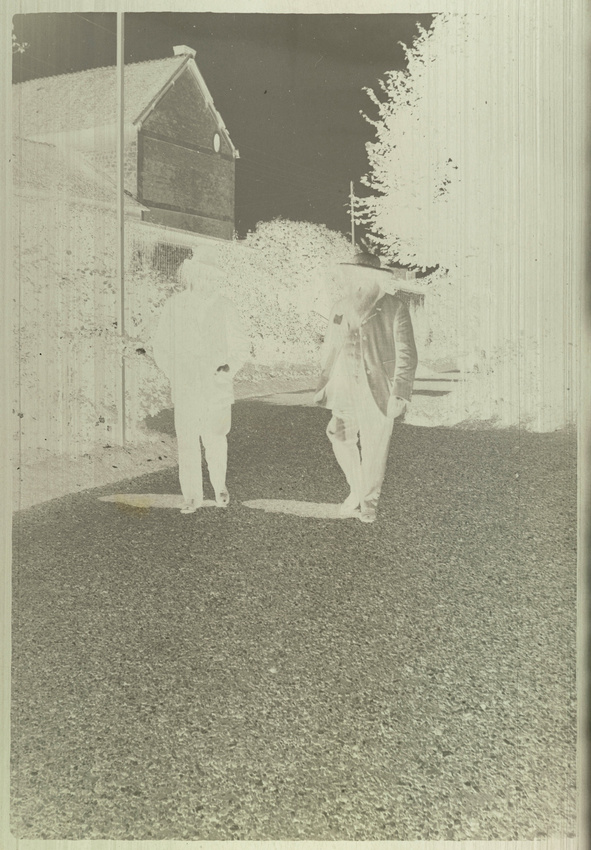 Pierre Bonnard - Claude Monet (et un personnage non identifié) marchant dans une...