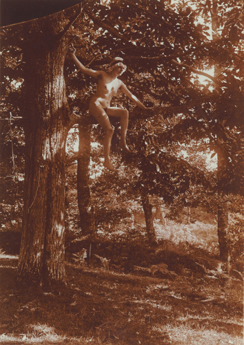 Charles Augustin Lhermitte - Nu portant une charlotte, perché sur une branche, d...