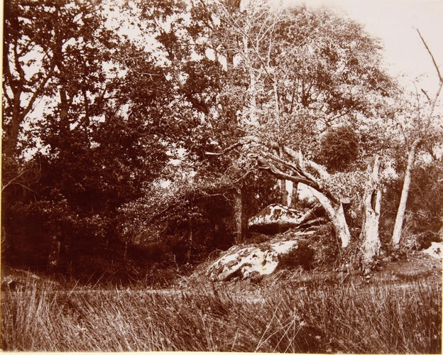 Henri Lemoine - La Mare, forêt de Fontainebleau