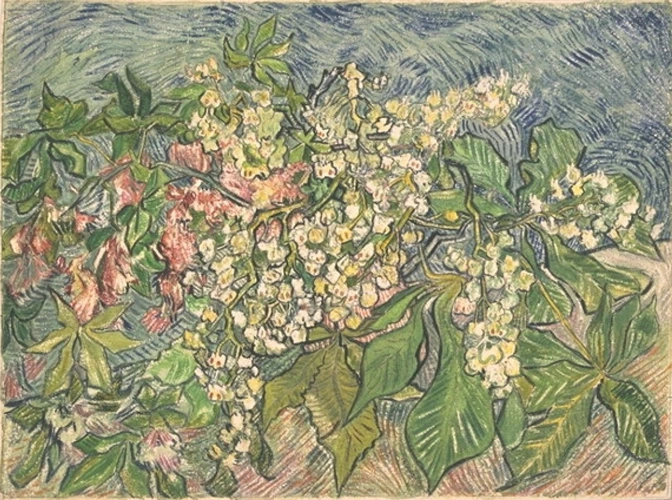 Blanche Derousse - Branches de marronniers en fleurs