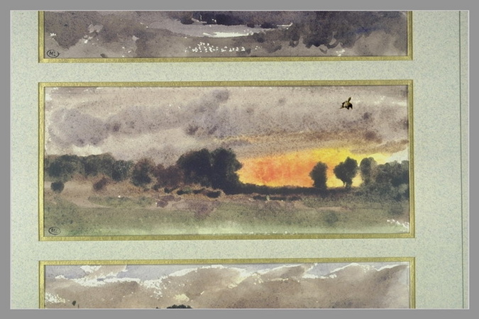 Grande prairie avec des arbres
