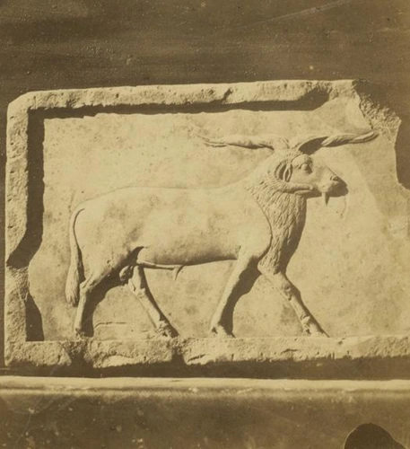Aymard de Banville - Bas-relief en pierre calcaire, musée du Caire