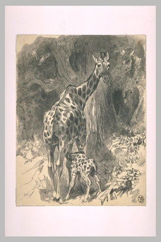 Auguste-André Lançon - Jeune girafe têtant sa mère dans une forêt