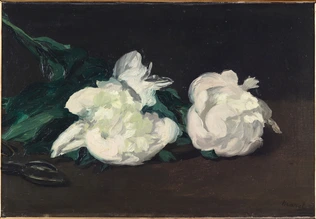 Edouard Manet - Branche de pivoines blanches et sécateur
