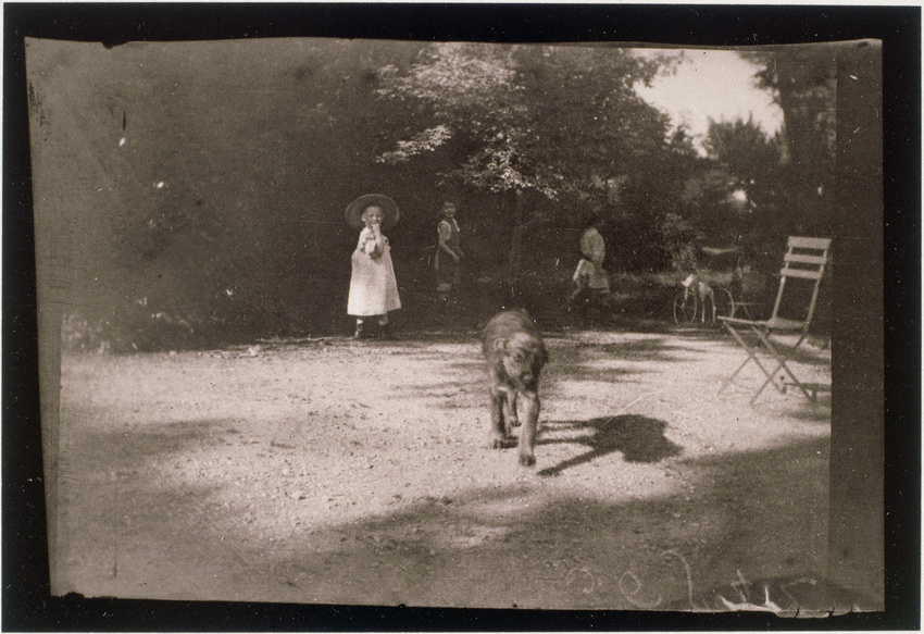 Pierre Bonnard - Un chien marchant vers l'objectif de Bonnard, au fond Robert et...