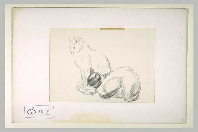 Théophile Alexandre Steinlen - Deux chats, l'un assis, l'autre prêt à bondir