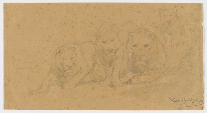 Rosa Bonheur - Quatre lions et deux lionnes vus de face
