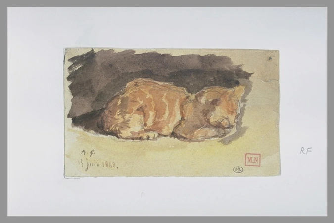 Amand Gautier - Un chat endormi