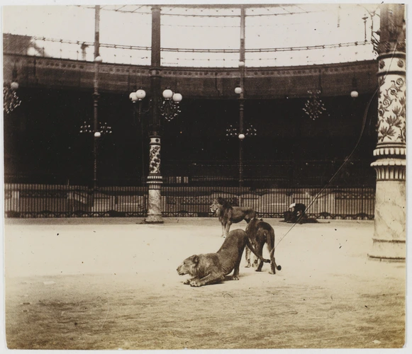 Albert Londe - Hippodrome de l'Alma, répétition de la pantomime Néron, une lionn...