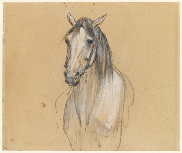 Eugène Fromentin - Tête de cheval