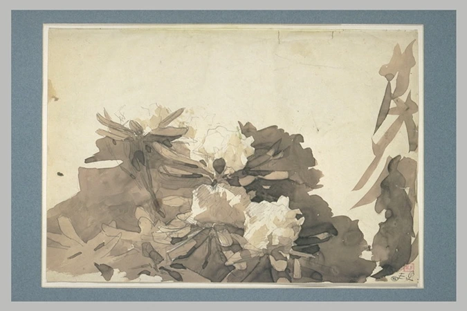 Ernest Quost - Camélias ou rhododendrons