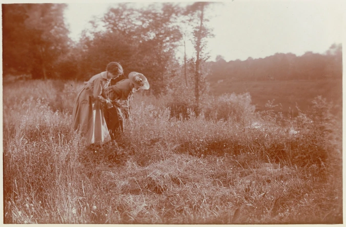 Charles Augustin Lhermitte - Deux jeunes femmes cueillant des plantes dans la ca...