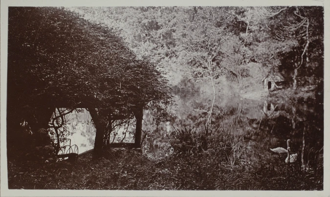 Anonyme - Paysage aux cygnes