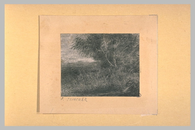 Frédérick Juncker - Paysage de marécages
