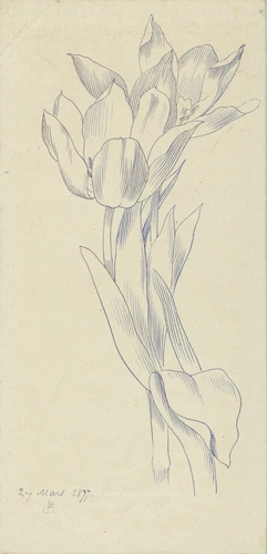 Claudius Popelin - Etude de tulipes