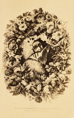 Lincke phot - Nicolaus van der Brach - Peintre allemand