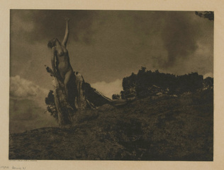 Anne Brigman - Soul of the Blasted Pine