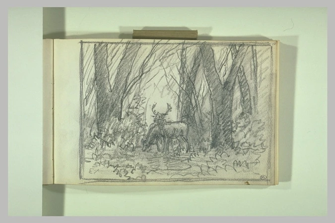Jean-Ferdinand Chaigneau - Cerfs dans la forêt