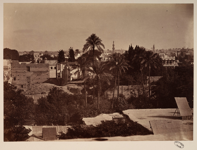 Anonyme - Egypte : vue panoramique - maisons et palmiers