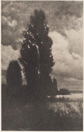 Hans Watzek - Poplars and Clouds