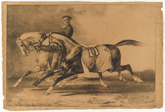 Théodore Géricault - Deux chevaux gris pommelé que l'on promène